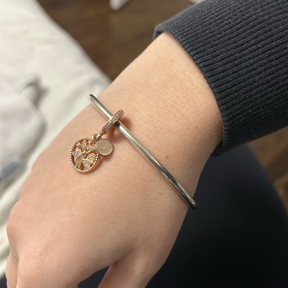 Pandora Family Heritage Dangle Charm - Picture 2 of 4